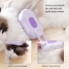 USB Rechargeable Pet Grooming Spray Bottle